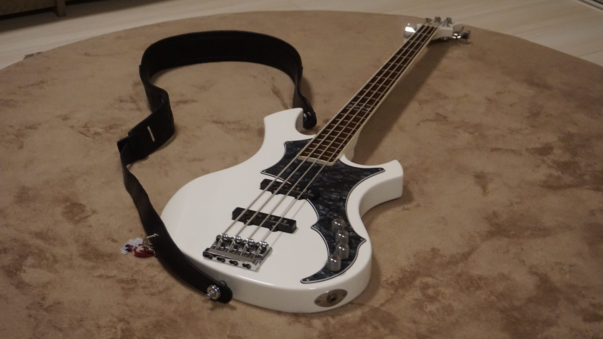 ESP RF-00SLについて