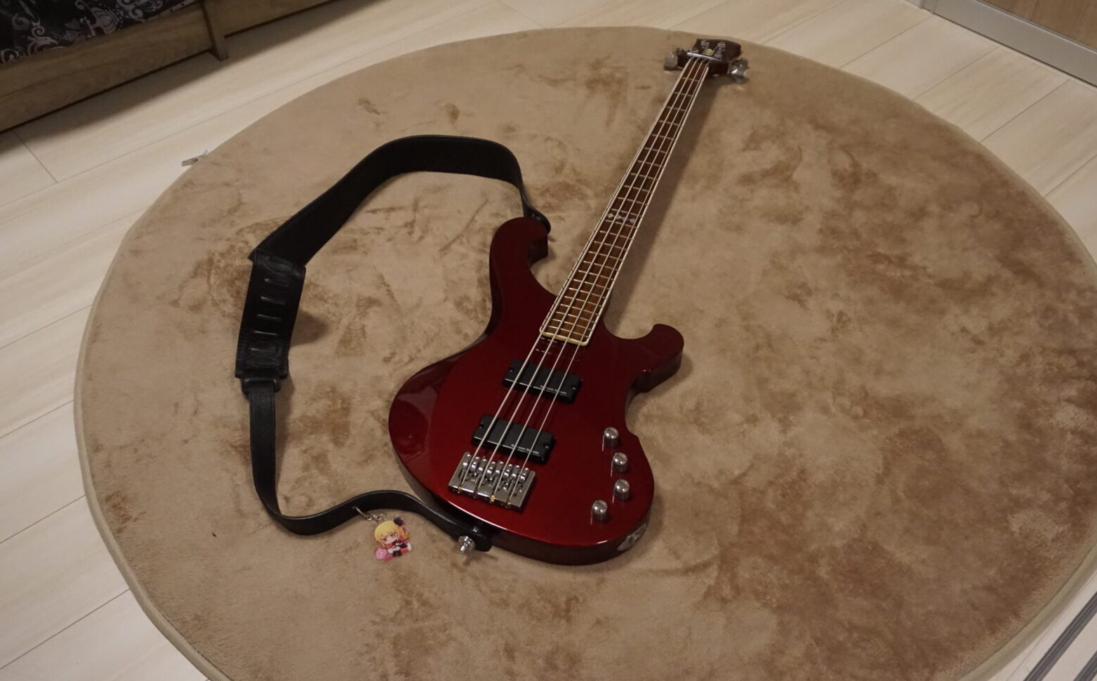 ESP RF-01SLについて